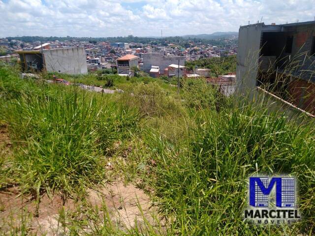 #TV429 - Terreno para Venda em Carapicuíba - SP