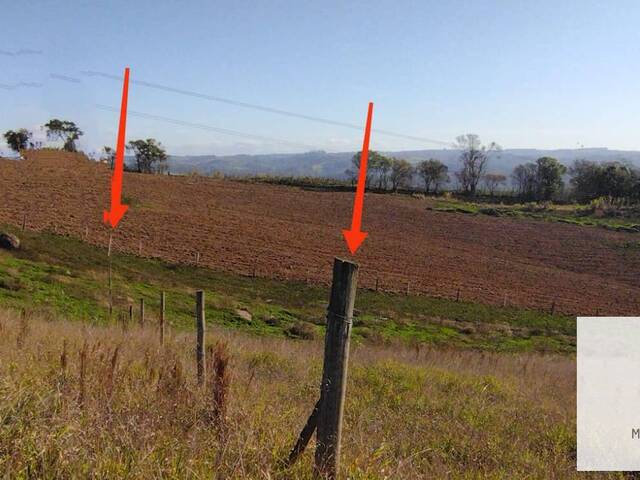 #TV446 - Terreno para Venda em Piedade - SP - 2