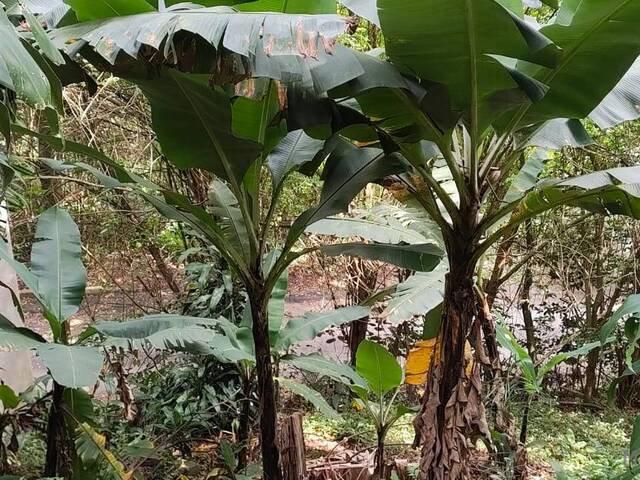 Terreno para Venda em Carapicuíba - 5