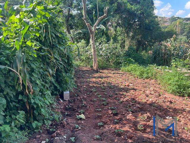 Terreno para Venda em Carapicuíba - 5