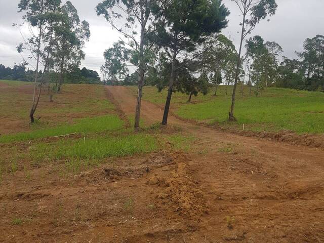 #TV478 - Terreno para Venda em Mairinque - SP - 1