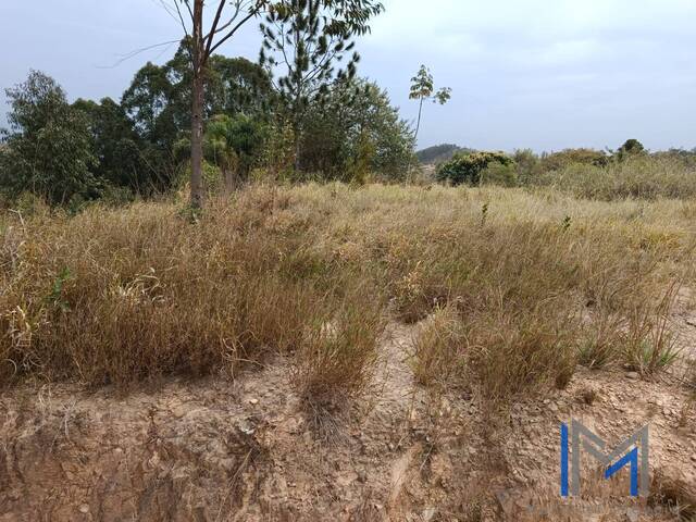 #TV484 - Terreno para Venda em Mairinque - SP - 1