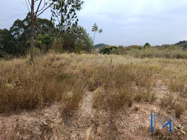#TV484 - Terreno para Venda em Mairinque - SP - 3