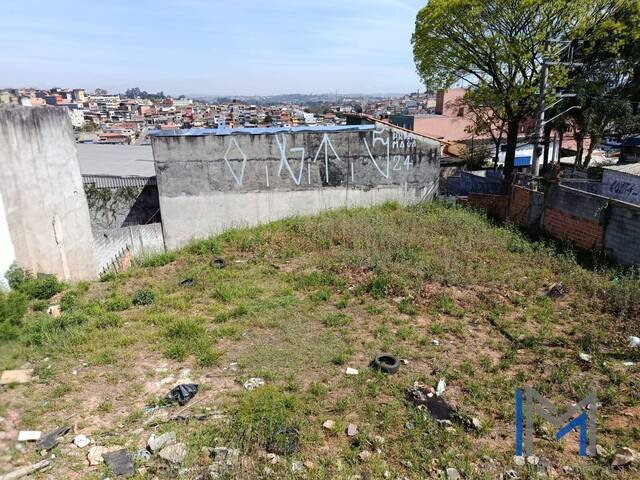 #TV486 - Terreno para Venda em Carapicuíba - SP - 3