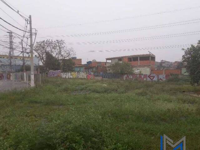 #TV503 - Terreno para Venda em Carapicuíba - SP - 3